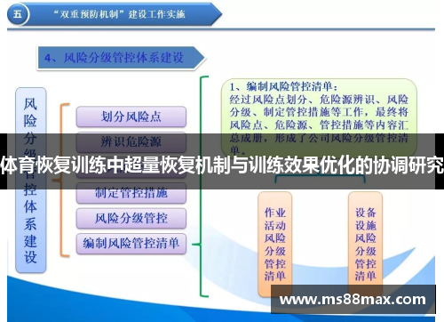 体育恢复训练中超量恢复机制与训练效果优化的协调研究