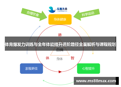 体育爆发力训练与全年体能提升进阶路径全面解析与课程规划