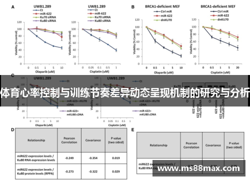 体育心率控制与训练节奏差异动态呈现机制的研究与分析